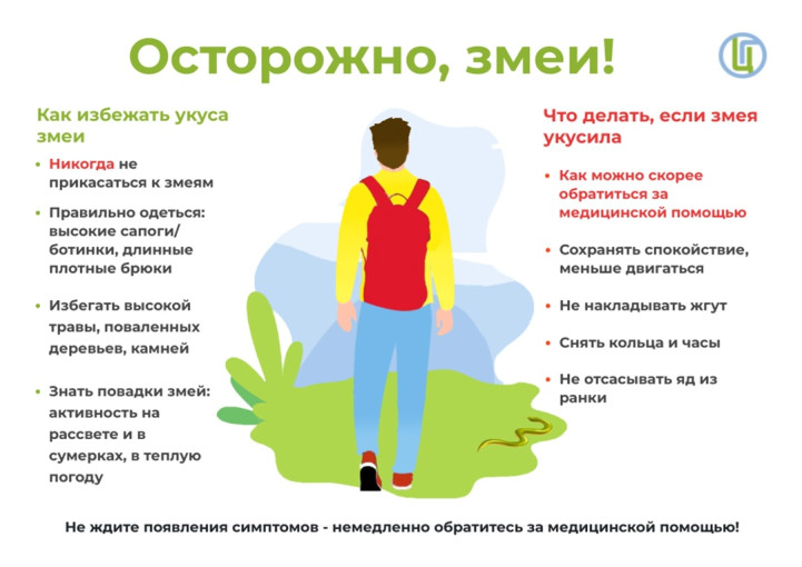 Как уберечься от укуса змей? Как уберечься от укуса змей?.